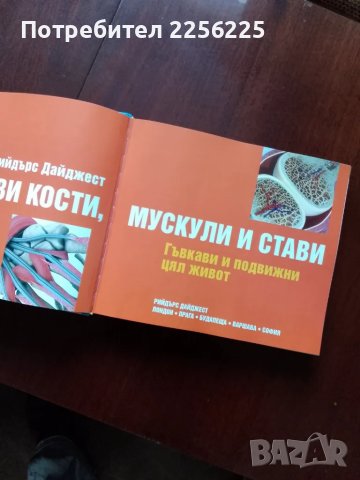 Здрави кости,мускули и стави, снимка 6 - Специализирана литература - 50427115