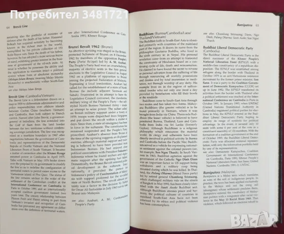 Съвременна политика в Югоизточна Азия / Dictionary of The Modern Politics of South-East, снимка 9 - Специализирана литература - 47018317