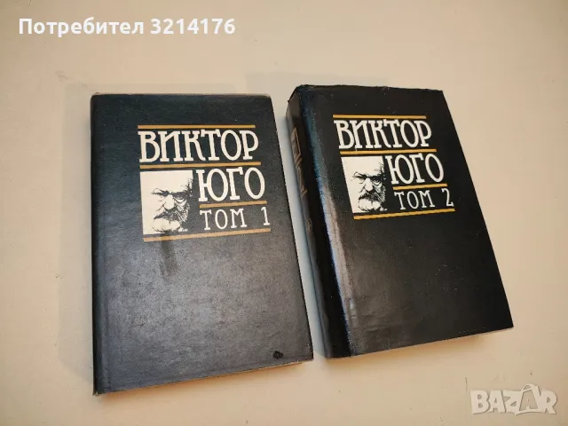 Парижката Света Богородица - Виктор Юго, снимка 3 - Художествена литература - 50363874
