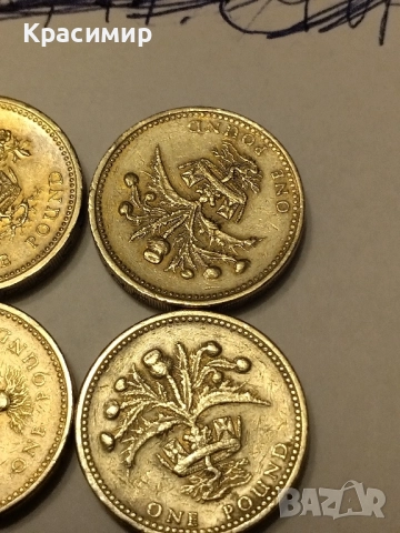 Монети Елизабет 1 паунд , снимка 16 - Нумизматика и бонистика - 51852105