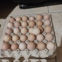 Яйца от щастливи кокошки., снимка 1