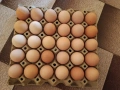 Продавам домашни яйца , снимка 1