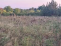 парцел в село Новаково , снимка 7