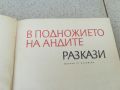 В ПОДНОЖИЕТО НА АНДИТЕ-КНИГА 1706241239, снимка 6