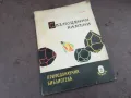 СКЪПОЦЕННИ КАМЪНИ 2101251728, снимка 3