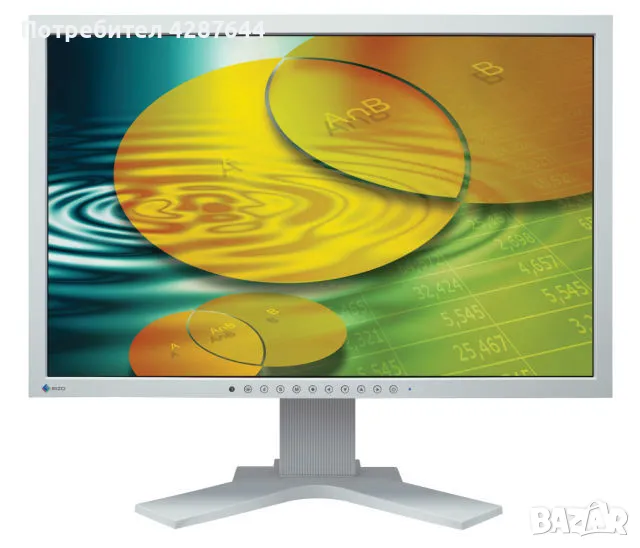 Професионален употребяван монитор 24" EIZO FLEXSCAN , снимка 1