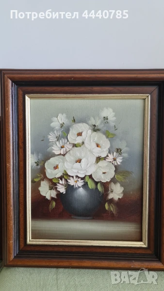 Бяли цветя, снимка 1