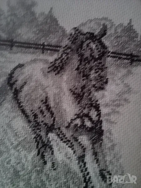 Гоблен  Галоп, снимка 1