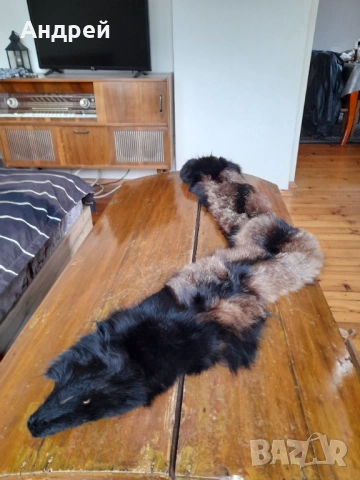 Стара кожа,яка от лисица #3