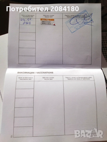 Продавам малки овчарски кученца, снимка 6 - Каракачанска овчарка - 52999016