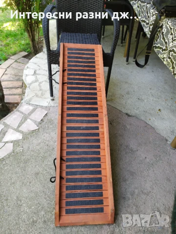 Рампа за кучета , животни .