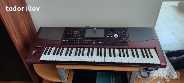 Korg pa1000 НОВ!, снимка 5 - Синтезатори - 46007040