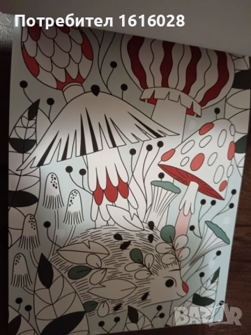 Арт книга за релакс., снимка 8 - Други - 48482672