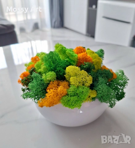 За завършване на учебната година -Декорации със скандинавски мъх, снимка 9 - Декорация за дома - 54223641