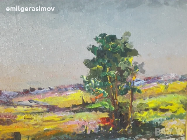 Две маслени картини и красив гоблен., снимка 6 - Картини - 54238495