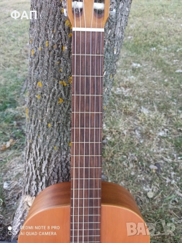 Raimundo WS3 класическа китара от Испания, снимка 3 - Китари - 52366602