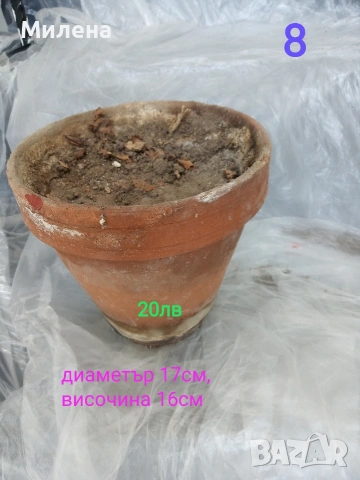 Саксии, снимка 6 - Саксии и кашпи - 53650030