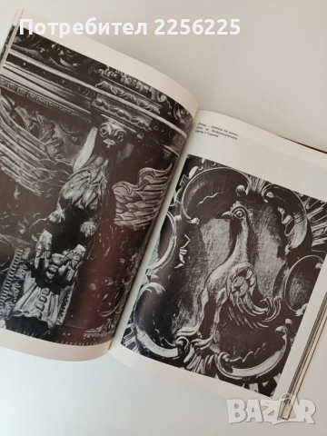 Пластическото богатство на възрожденската църковна дърворезба ( том 1), снимка 4 - Специализирана литература - 52279233