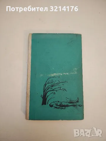 Денят на нетърпението - Владимир Зарев, снимка 2 - Българска литература - 49636020