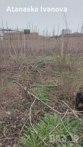 Продавам къща село Пъдарско, област Пловдив , снимка 2 - Къщи - 53469198