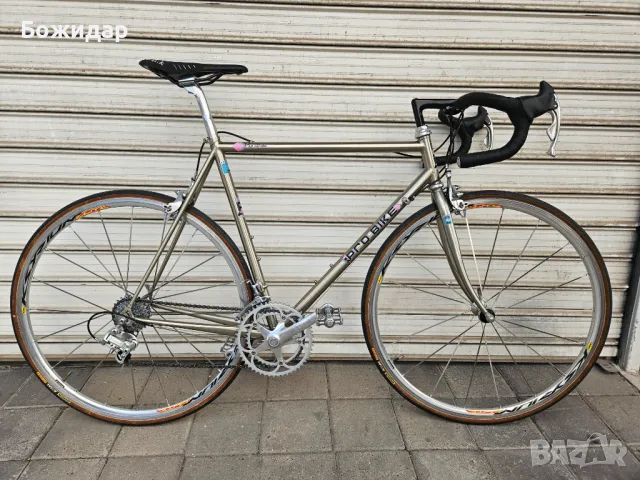 Ретро шосеен велосипед ProBike 56cm. Full Campagnolo, снимка 1 - Велосипеди - 47106619