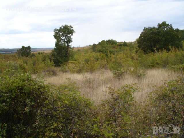 Земеделска земя 10,5 декара, 9 категория, снимка 12 - Земеделска земя - 50714759