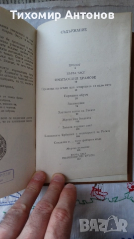 Борис Брайков - В сянката на княза, снимка 6 - Художествена литература - 52342859