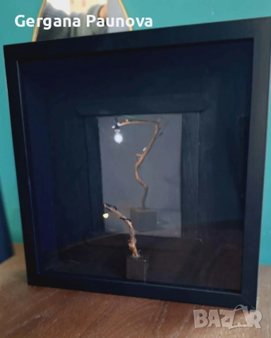 3д картини , снимка 9 - Ръчно изработени сувенири - 53794954