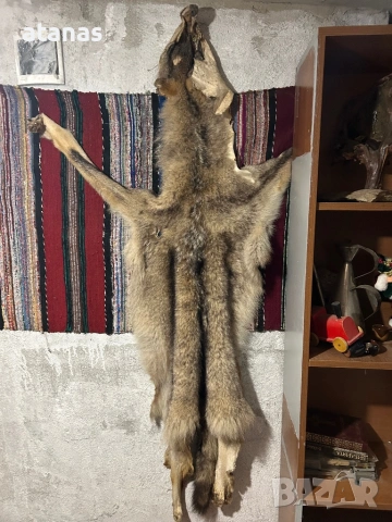 Кожа от вълк