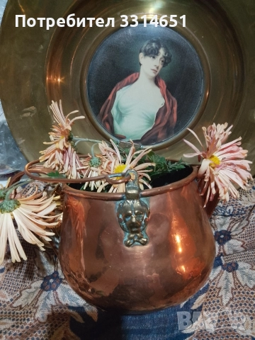 Разкошен френски меден съд , снимка 4 - Антикварни и старинни предмети - 52849990