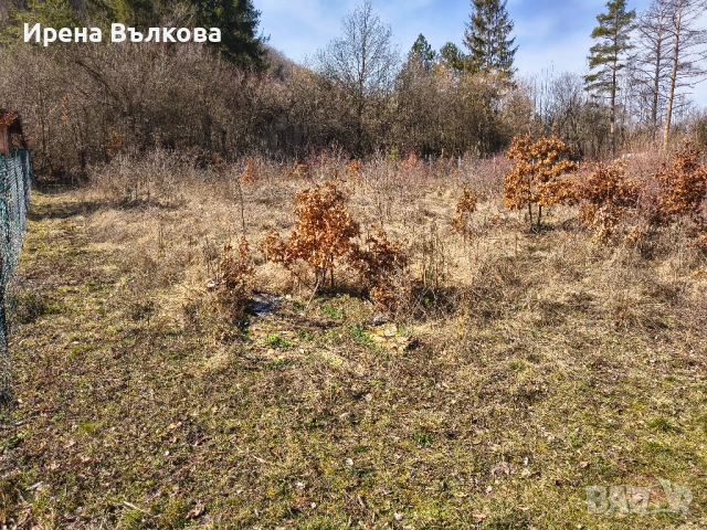 ПРОДАВА СЕ: Панорамен парцел в регулация – в.з. "Герова леска", с. Свидня, снимка 3 - Парцели - 53683788