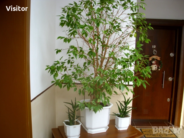 фотоапарат BenQ DC C1035 - 10.2 МРх, снимка 16 - Фотоапарати - 52805808