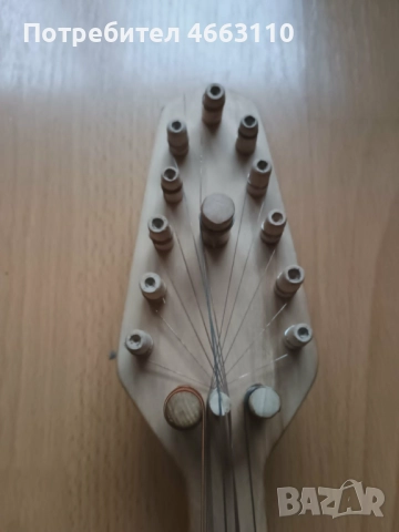 Професионална майсторска гъдулка , снимка 4 - Струнни инструменти - 52571535