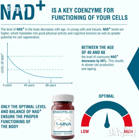 Endotelio 1-MNA, Против стареене, Оптимизираща NAD+ Biohacking добавка, 30 капсули, снимка 3 - Хранителни добавки - 46846966