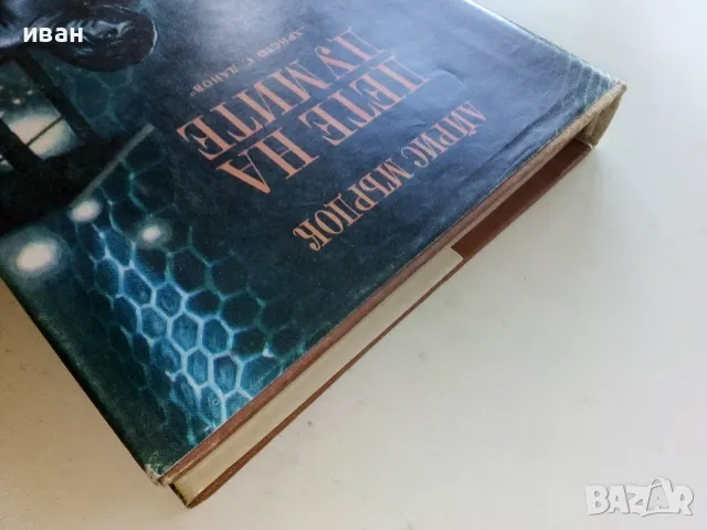 Дете на думите - Айрис Мърдок - 1980г., снимка 8 - Художествена литература - 50100449