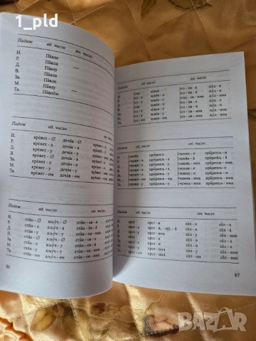 Нова сърбо-хърватска граматика, снимка 2 - Чуждоезиково обучение, речници - 54166846