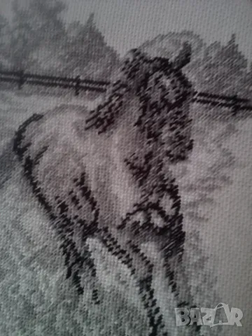 Гоблен  Галоп