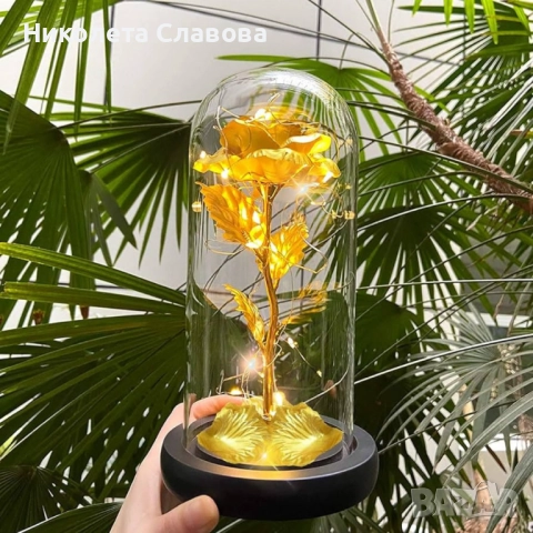 🌹✨ Вечна роза в стъкленица с LED светлина – ПРОМОЦИЯ!