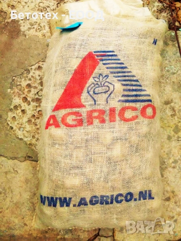 СЕМЕНА КАРТОФИ