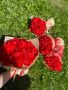 Букети от вечни рози (сатенени рози)., снимка 7