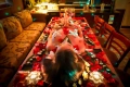 Голо Суши за Ергенско Парти в София – VIP Nyotaimori Шоу с Луксозна Организация, снимка 3