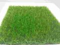 Изкуствена трева, 25мм., ширина: 2м Harpe 25mm./13s - 2m