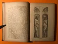 Стара Книга Изкуство История на Изкуствата Алвин Шулц 1884 г. на Немски, снимка 8