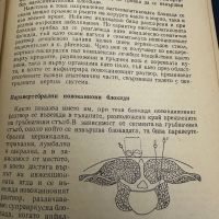 Новокаинът в съвременната терапия -В.Янчев,1963,стр.211, снимка 3 - Специализирана литература - 45304720