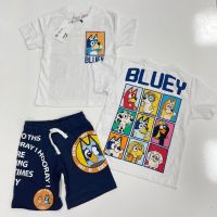 Комплект Bluey-Zara , снимка 1 - Детски комплекти - 45318960