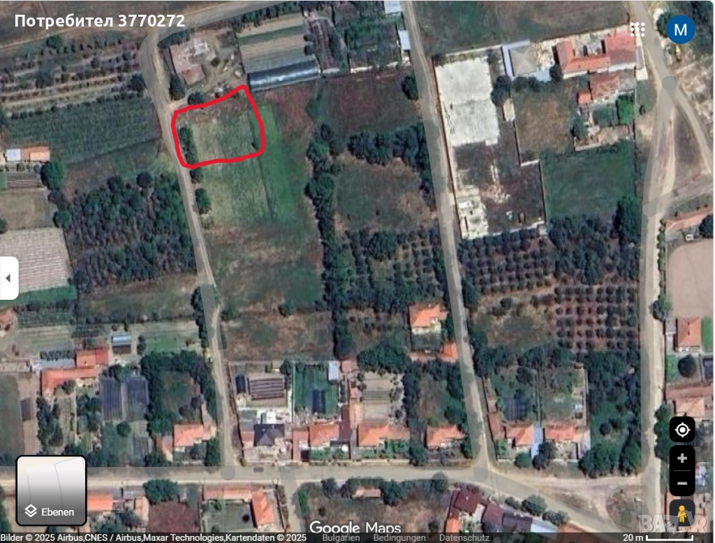 Паничери дворно място , снимка 1