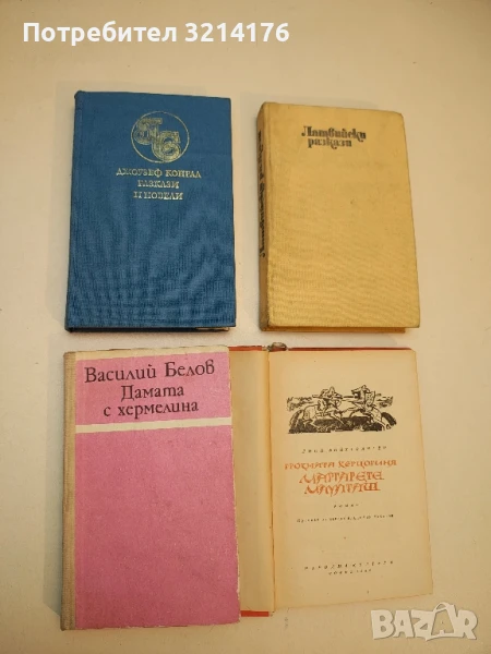 Дамата с хермелина - Василий Белов, снимка 1