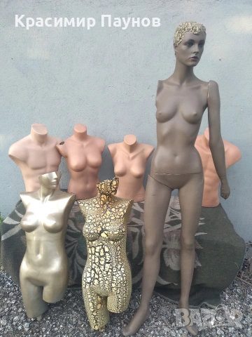 Лот  манекени   Цената е за всички .
