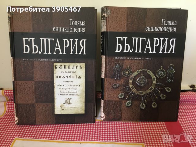 Голяма енциклопедия БЪЛГАРИЯ 9,10 том, снимка 2 - Енциклопедии, справочници - 46187321