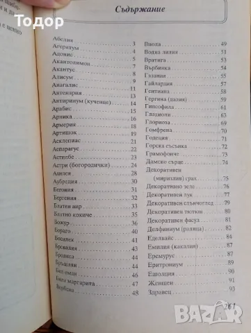  Цветя в градината Автор: Анка Дончева, снимка 4 - Други - 40613015